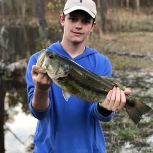 Meet your Posher, Hayden